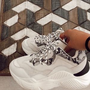Steve Madden sneakers